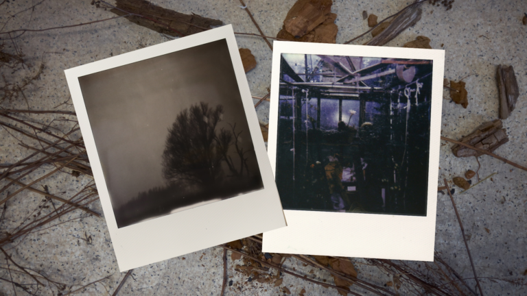zdjęcie; dwa zdjęcia polaroid na tle rozrzuconych na betonie suchych liści i patyków