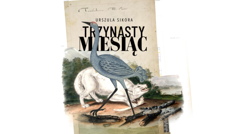 ilustracja, na pierwszym planie widać czaplę szarą, na drugim białego psa, który pokazuje zęby, wygląda jakby zaraz miał zaatakować czaplę