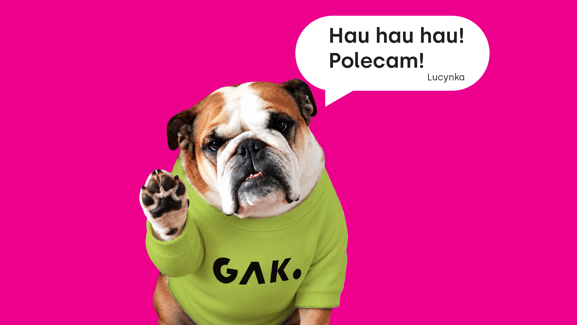 Buldog angielski w jasnozielonym swetrze z czarnym logo „GAK.” unosi jedną łapę. Pies znajduje się na intensywnie różowym tle. Nad nim jest biały dymek z napisem: „Hau hau hau! Polecam! Lucynka”.